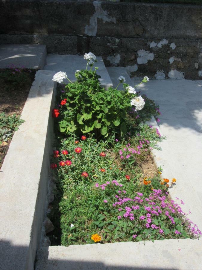 קרלובג Apartmani Gracijela מראה חיצוני תמונה